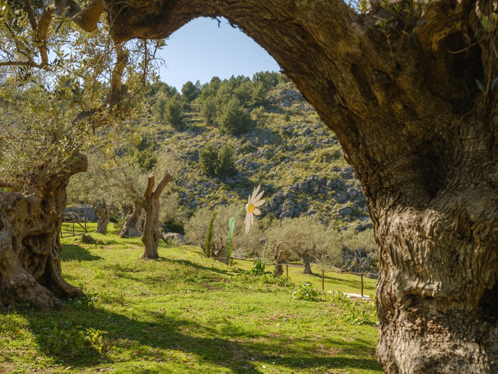 卡瑟鲁穆莱塔德农场酒店 Puerto de Sóller 外观 照片